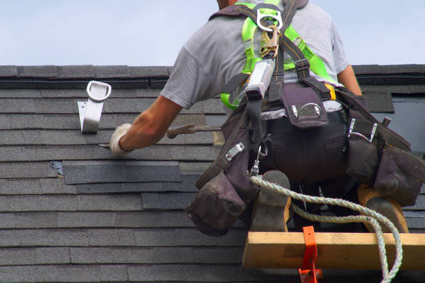 Best Metal Roofing Contractor  in Port Huron, MI