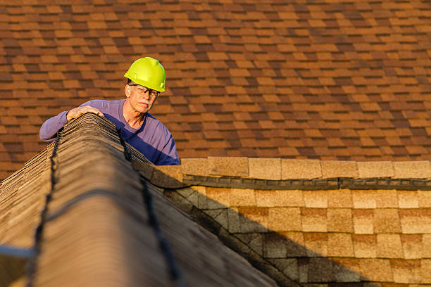 Best Metal Roofing Contractor  in Port Huron, MI